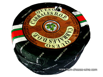 Spanish Cheese Cabrales