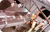 Jamón Ibérico Fermín sin Hueso Fabrica Foto 1