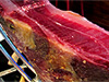 Pure Iberico Ham de Bellota Cinco Jotas 5J