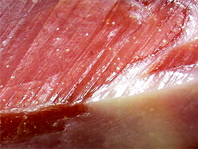 Jamón Serrano Campofrío sin Hueso Detalles Corte 1